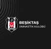 KVKK açıkladı: On binlerce Beşiktaş taraftarının kişisel verileri çalındı