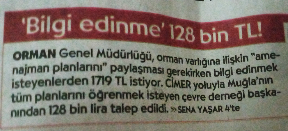 28 Eylül Uluslararası Bilgiye Evrensel Erişim Günü: Türkiye'de her dört sorudan üçü yanıtsız bırakılıyor